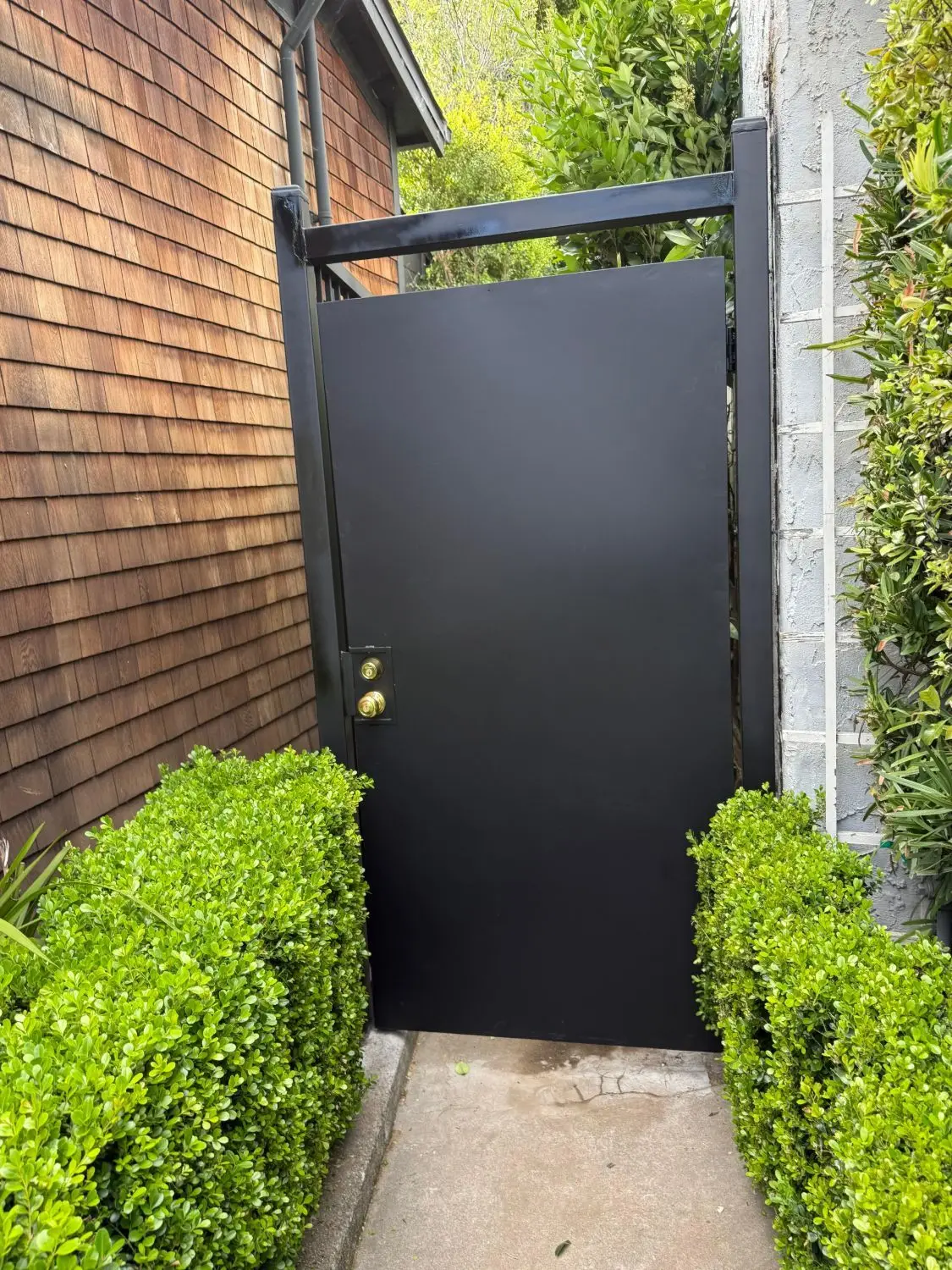 Solid black steel pedestrian gate with keyed deadbolt between hedges