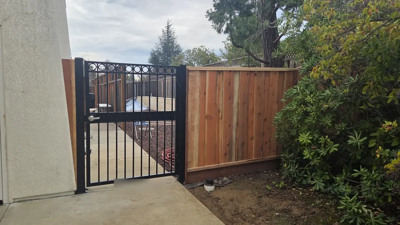 Black steel walk gate with ring details next to a new redwood fence